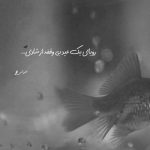 آهنگ من و تو دوتا شقایق بینمون یه تخته سنگ