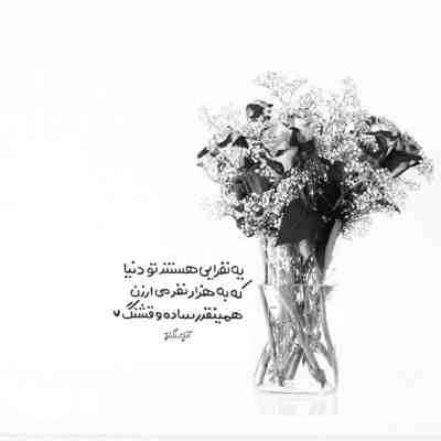 آهنگ مدرسه موشها