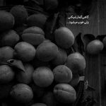 آهنگ بچرخ و بچرخون مارو دنیا تا گیج بره آخر ما سرامون