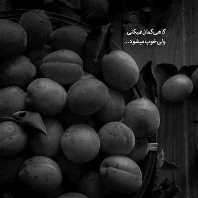 آهنگ بچرخ و بچرخون مارو دنیا
