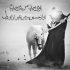 مداحی به علی بگو دلتنگم حرمم داره دیر میشه