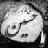 مداحی امام رضا قربون کبوترات یه نگاهی هم بکن به زیر پات