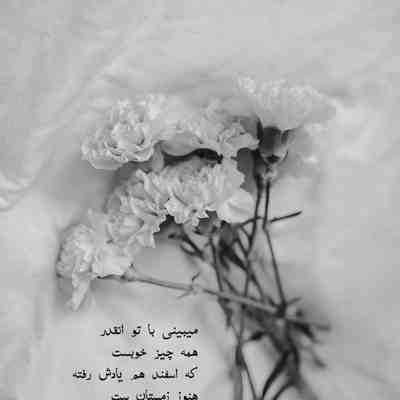 آهنگ شب هام حرومه حروم بهش بگین بیاد