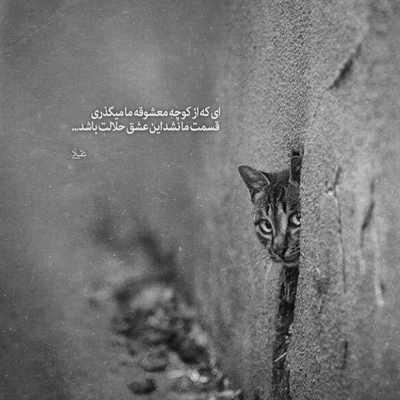 آهنگ چقدر با عشق موهاشو میکردم نوازش