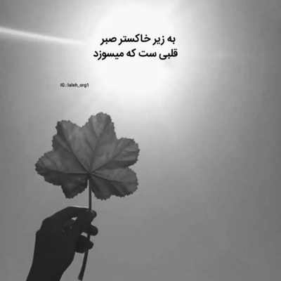 آهنگ چی میخوای داش گلم