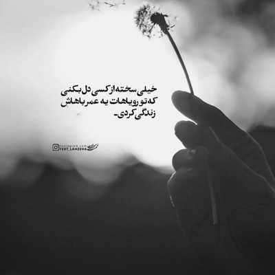 آهنگ شاید که باد عطر تن او را