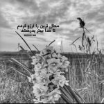 آهنگ یارم به یک لا پیرهن