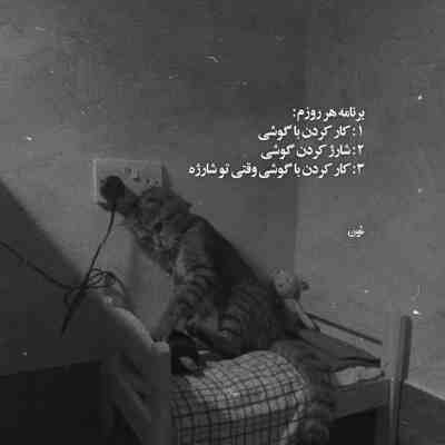 آهنگ حال دلم با تو خوشه