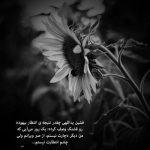 آهنگ من احساسی ام بیا تنهام نزار آدم حساسی ام پاتو هر جا نزار