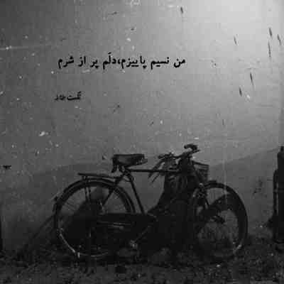 آهنگ اقیانوس منو با درد میبرد زیر آب سرد
