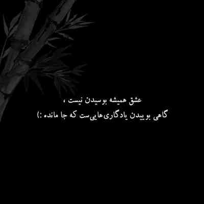 آهنگ با اون چشمای وحشی اصلا حق داری بدشی