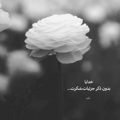 آهنگ بوی تو می‌ دهد آغوش خالی ام
