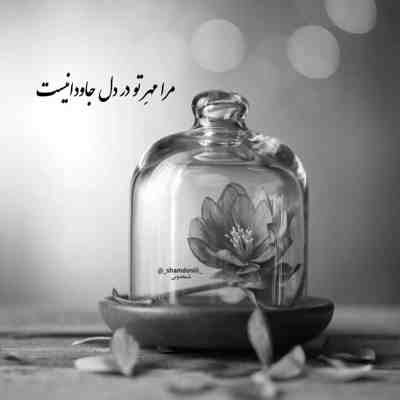 آهنگ اونا نمیدونن قدرتو