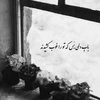 آهنگ غزل خوشگل زیبا رخ من
