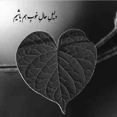 آهنگ جی واگن پارکه تو ویلا