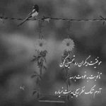 آهنگ من آدم زندگی بدون تو نیستم عزیزم پاشو