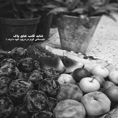 آهنگ میگم ایست انگار کلانترم