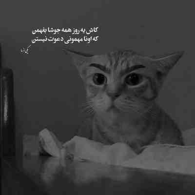آهنگ صدام گرفته و سر درد دارم