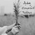 آهنگ سر آزادگی مردن ته دلدادگی میشه