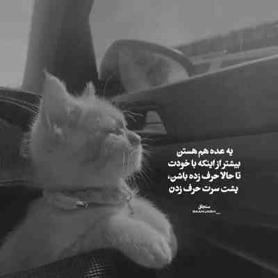 آهنگ باشه من بد میرم اصلا