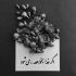 آهنگ دل من یه روز به دریا زد و رفت