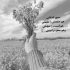آهنگ توی شهر بی عاطفه ها تو یه پرچم داری