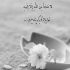 آهنگ جدایی با جدایی فرق داره یکی با عشق اومد خسته تن رفت