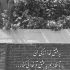 آهنگ پرپر زدم برات جونمم میدم برات
