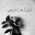 آهنگ فلک نظر به این حالم نکردی نگاهی به دل زارم نکردی