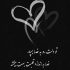 آهنگ بی تو ویرونه دلم از تو میخونه یه بند