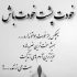 آهنگ لالا لالا گل پونه بیا که بدون تو دل خونه