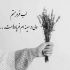 آهنگ دلدار بودن با تو همه بی تابی و کم طاقتیش با من