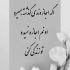 آهنگ  چه دانم ‌های بسیار است لیکن من نمی ‌دانم