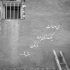 آهنگ چشمت خمارم کرده دل بیقرارم کرده
