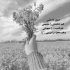 آهنگ میدونی قیمت دل سوخته چنده میدونستی جونم به عشق تو بنده