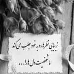 آهنگ دیوونه کیه عاقل کیه جونور کامل کیه