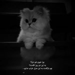 آهنگ ای که انداخته ای در دل ما هلهله ای