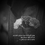 آهنگ رفت از دستم اختیار بردی از من صبر و قرار