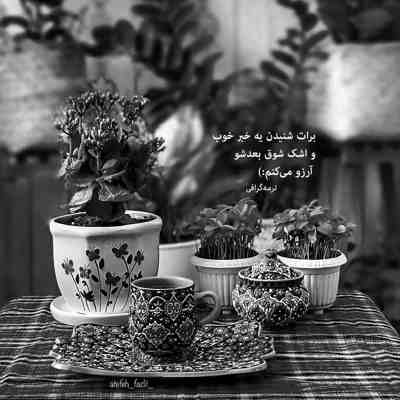 آهنگ الان کل شهر میگه برام لبیک