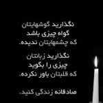 آهنگ عاشق که میشم مثل یه پروانه دور شمع عاقل نمیشم