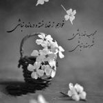 آهنگ تاجر شده قلبم یهو رفته تو کار دلو قلب کسی که نفساشه