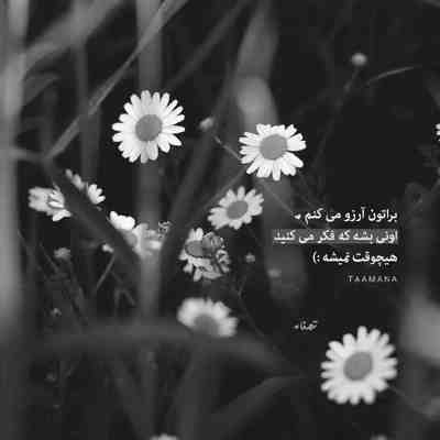 آهنگ خوب ماهم دل داشتیم میگرفت بعضی شبا