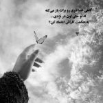 آهنگ گفتم ببینمش مگر درد اشتیاق ساکن شود بدیدم و مشتاق ‌تر شدم