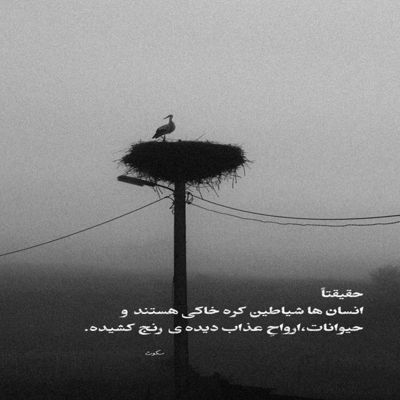 آهنگ مرهم گریه های من کنار تو نشسته