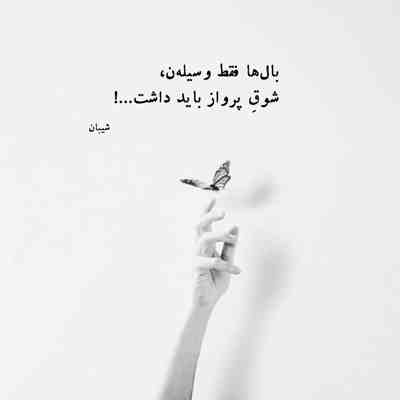 آهنگ چه چشمای قشنگی داری دختر