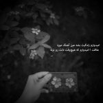 آهنگ نازتو من میخرم بگو چند دلبری کن تو با موی بلند