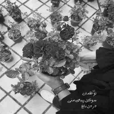آهنگ کتابین حرفام کنار تو