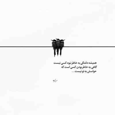 آهنگ کبوتر خیالم رفت سر بوم یارم