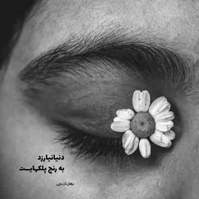 آهنگ تو تک ستاره شبهامی
