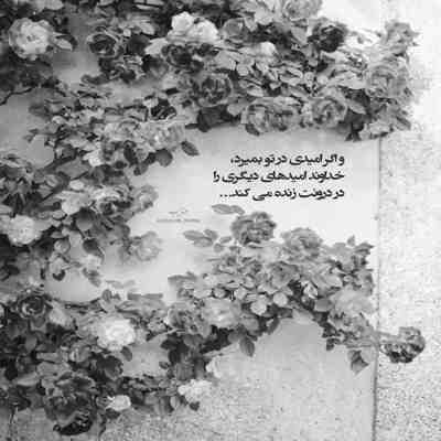 آهنگ به جز برگشتن پیش تو نمونده راهی برا من